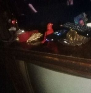 Meet your Posher, Debbie